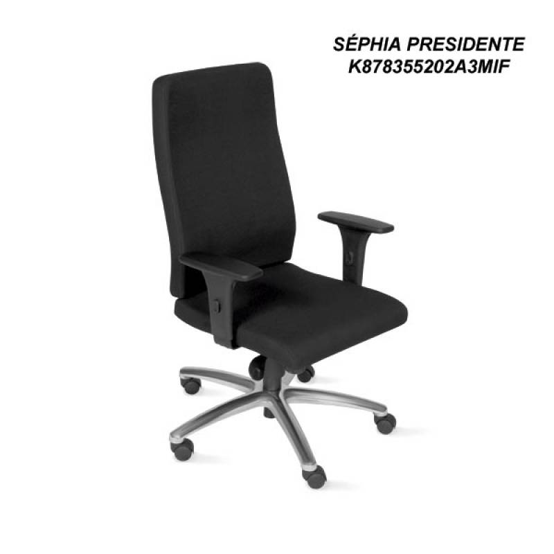 Cadeiras de Escritório Preço Santa Efigênia - Cadeira para Escritório com Braço Regulável